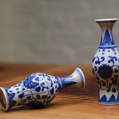 Qing Hua Blue and White Porcelain Twin Vase