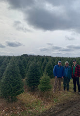 Real Christmas Trees Delivered 9 Foot Premium Balsam Fir Christmas Tree